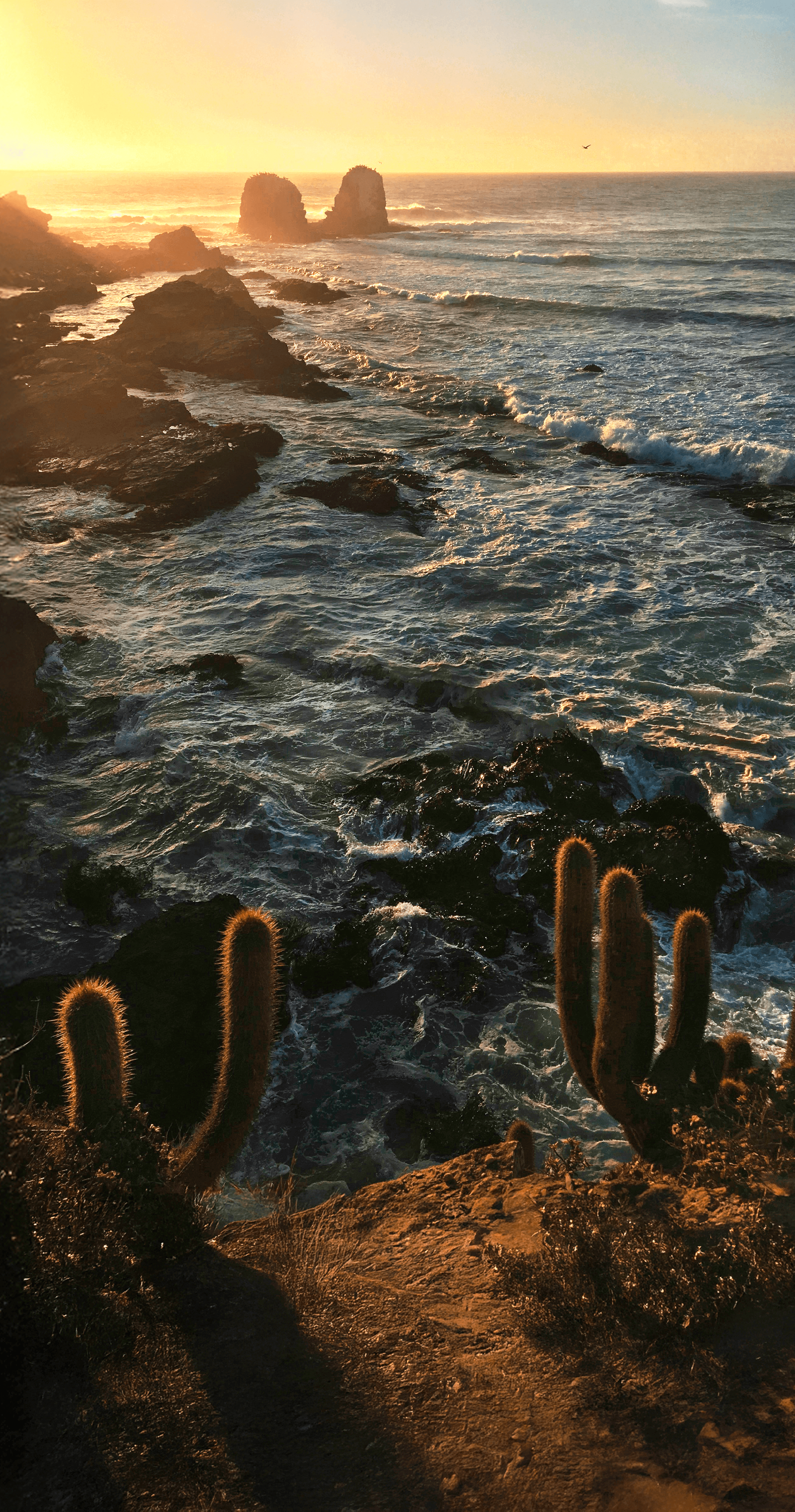 Paisaje aéreo de Los Cabos