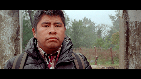 El brillo de la luciérnaga