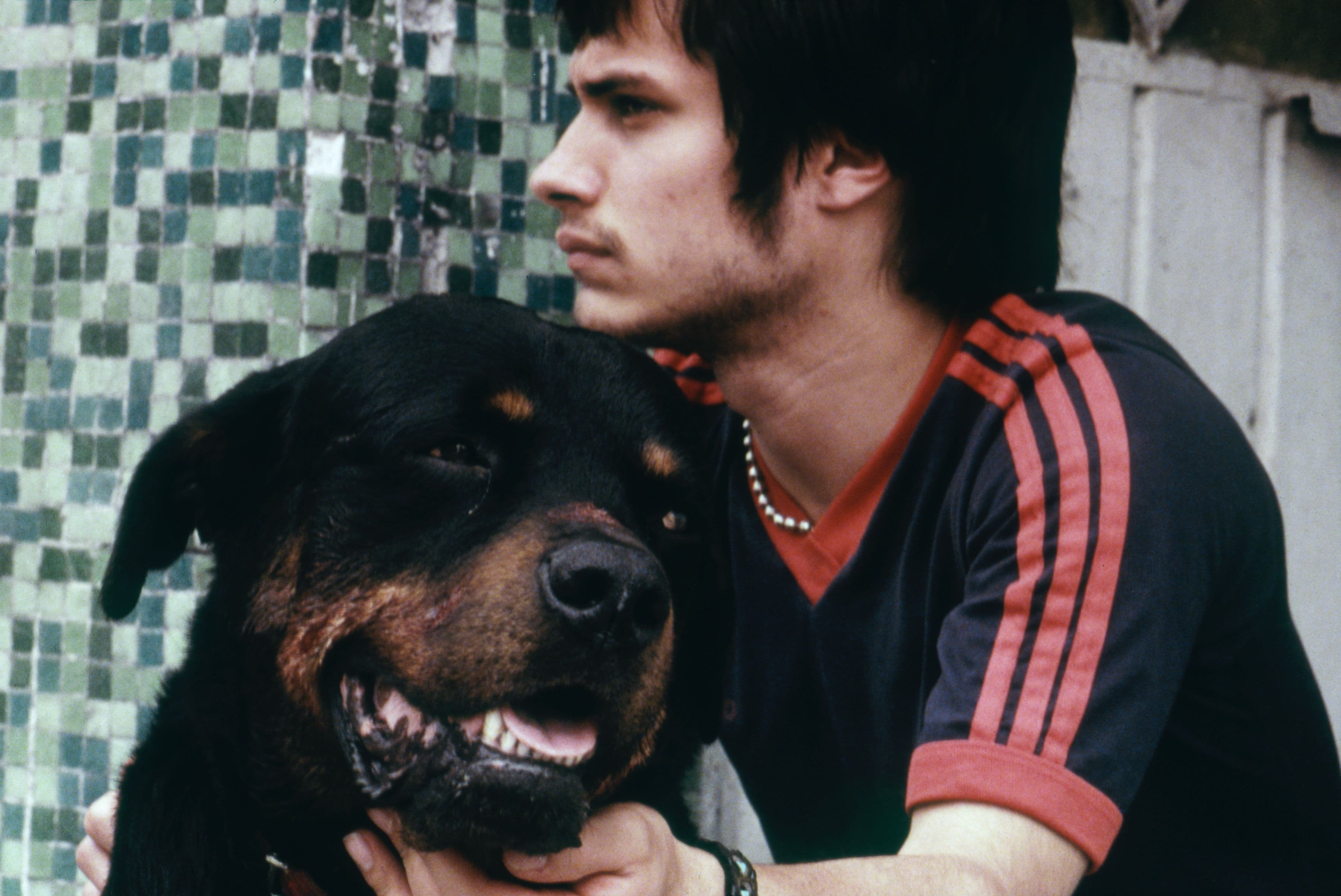 Amores Perros