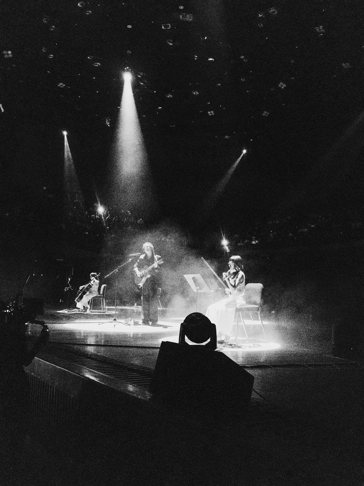 Banner de la sección Proyecciones especiales